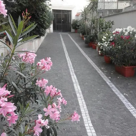 Trastevere 246 Πανσιόν