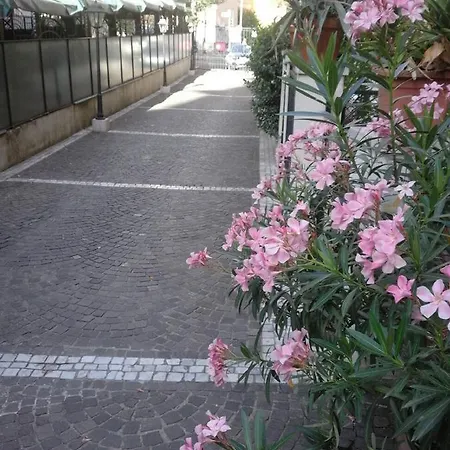 Πανσιόν Trastevere 246 3*